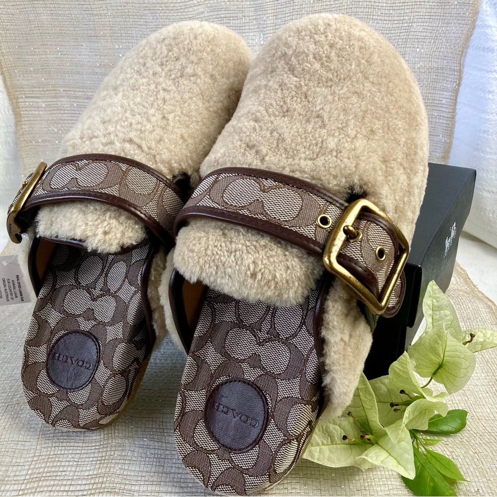 COACH Shearling Clog.